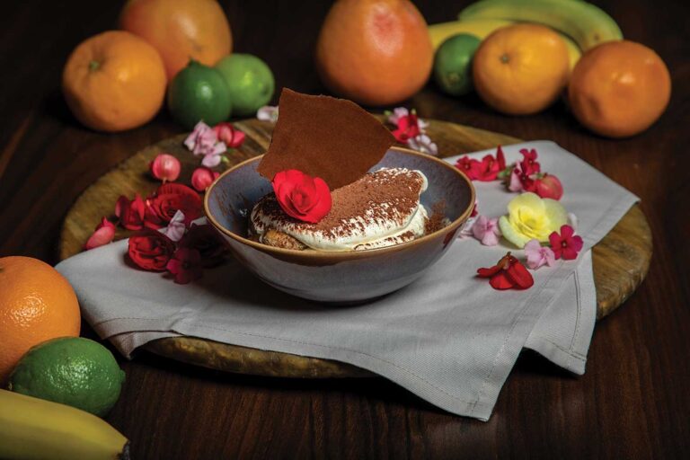 Classic Italian Tiramisu / Tiramisu italian clasic